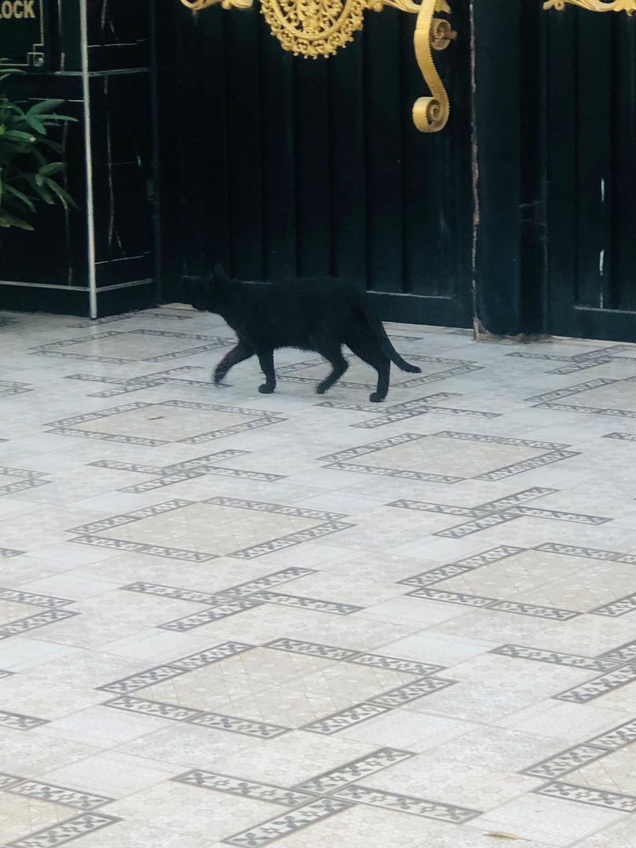 Sarah Waraich tweet media