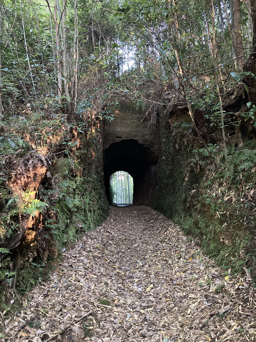 みぜっとR tweet media