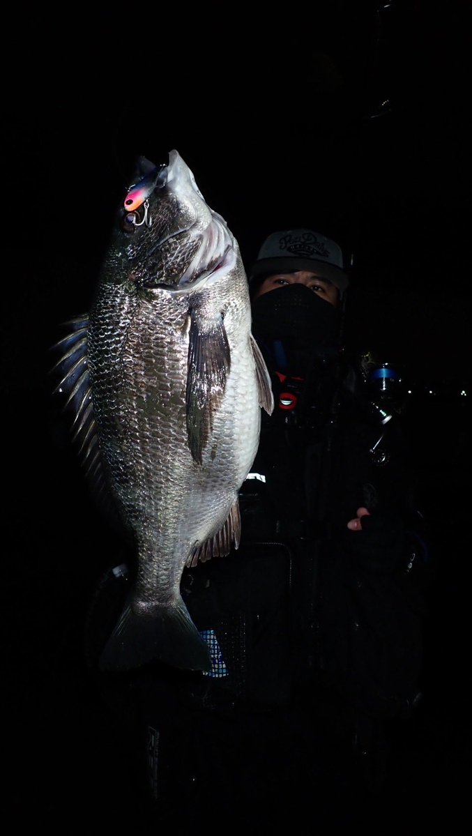 o_seabass tweet media