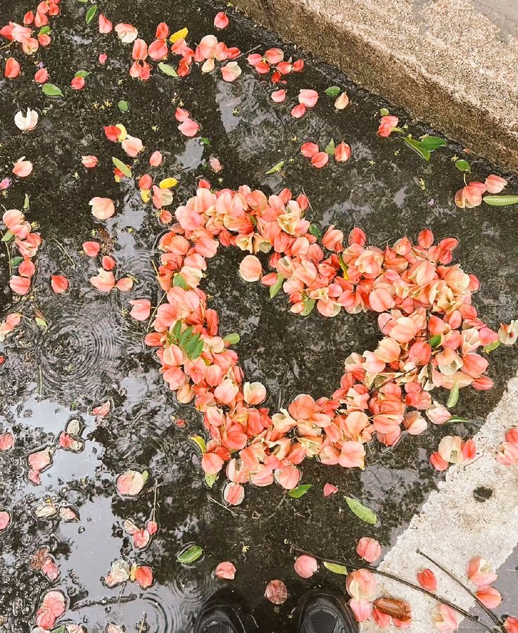 Mary Mags tweet media