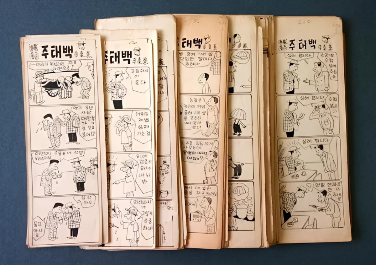 늘푸른소나무 tweet media