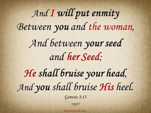 🇺🇸✝️🇮🇱🇹🇼The Return tweet media