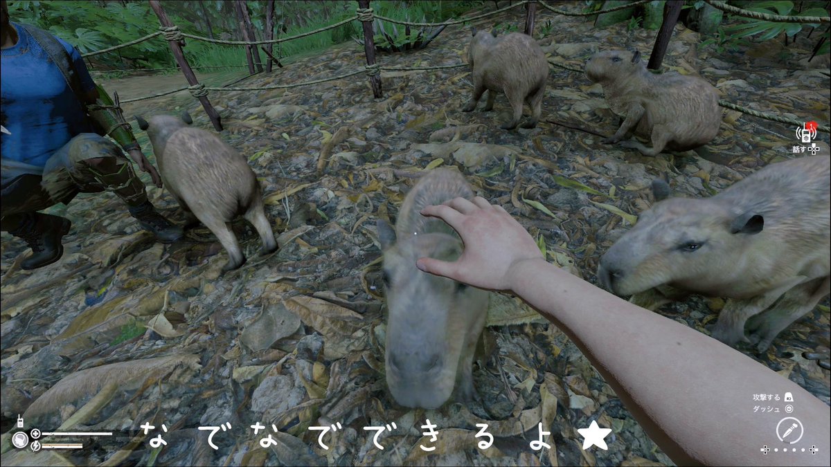 あちりんご tweet media