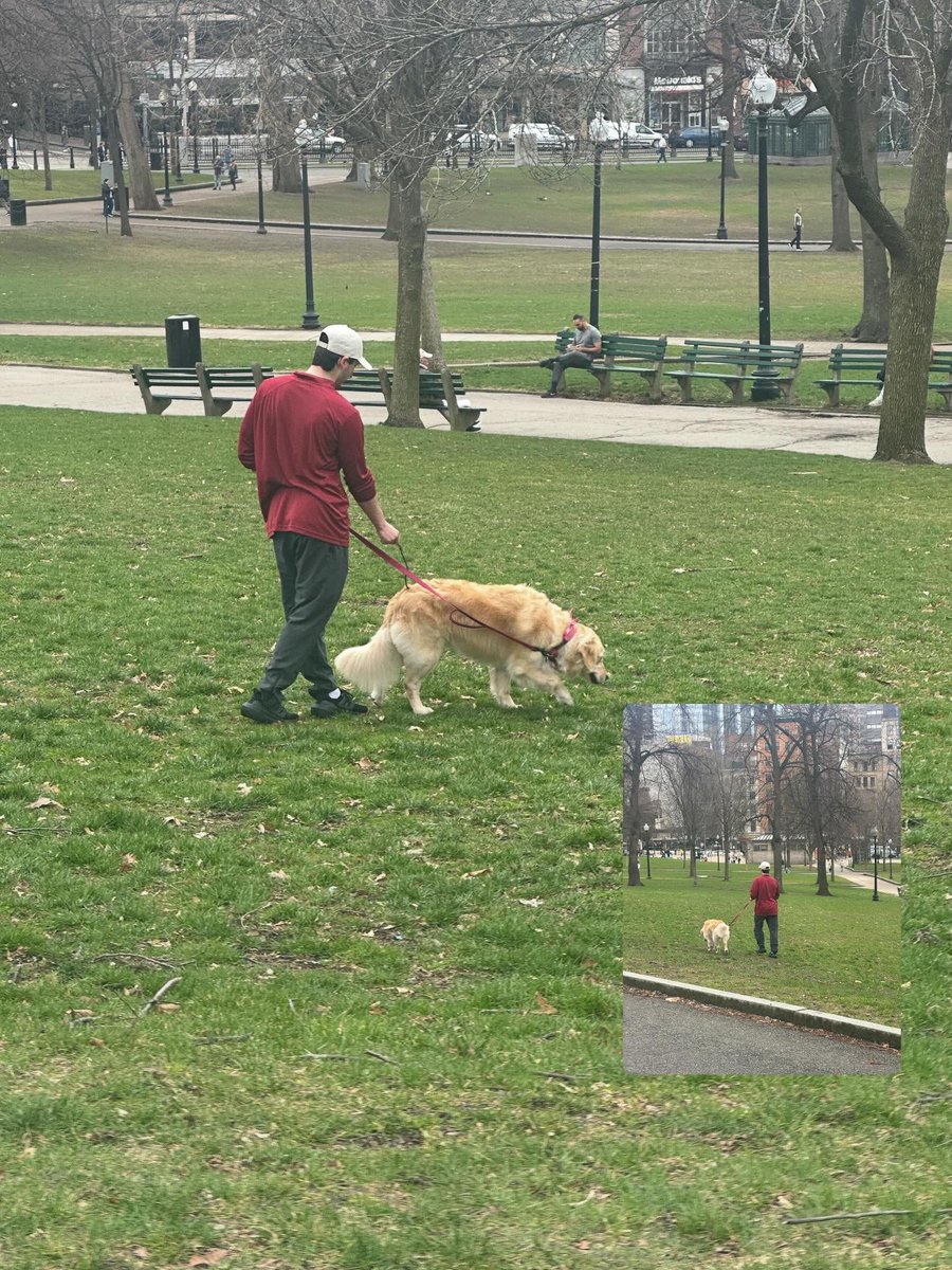 MartinaCurtin's tweet image. Day 91 of #100daysofwalking
A lovely lunchtime walk made even better by seeing so many beautiful dogs along the way!
#lunchtimewalk #doglover #freshair #bekind
@NewstalkFM @NTBreakfast