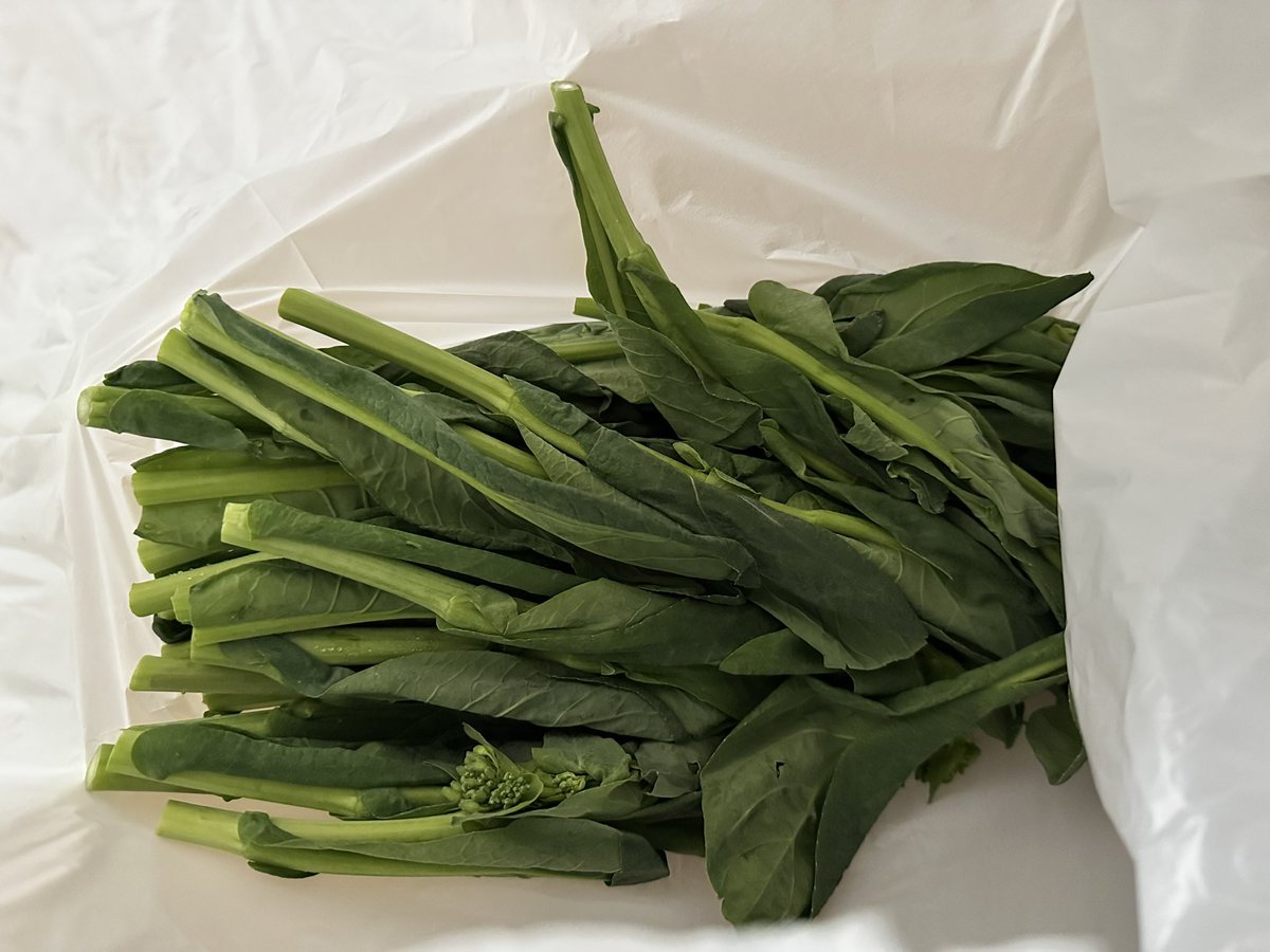 だげくるんた(cv.すと tweet media