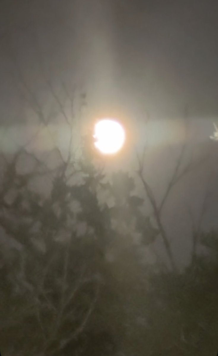 Parallel 8 Media tweet media