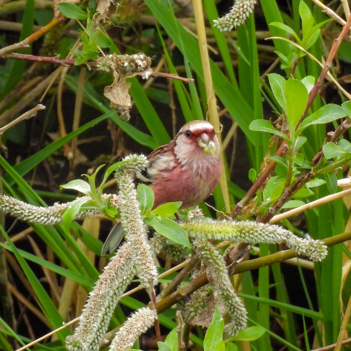 るもちゃん🌈とヒロ tweet media
