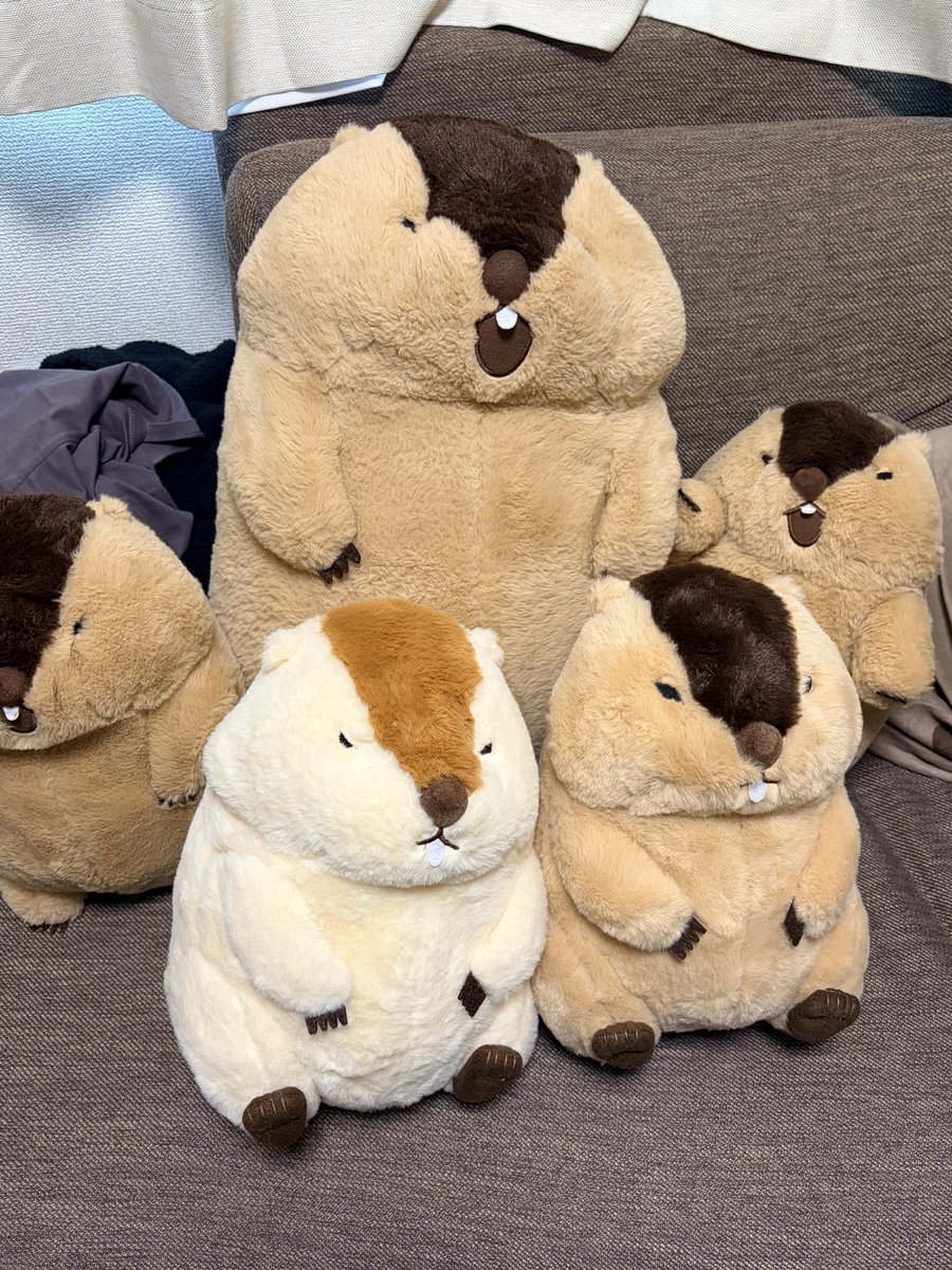 すやすやすんや tweet media