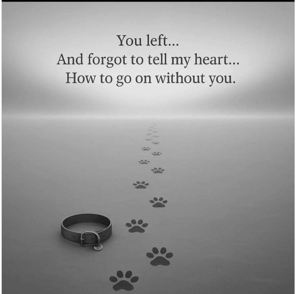 Elaine Resists! tweet media