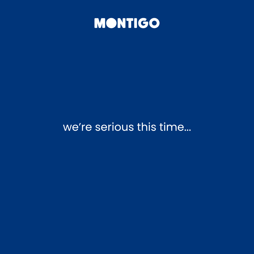 InsideMontigo tweet media