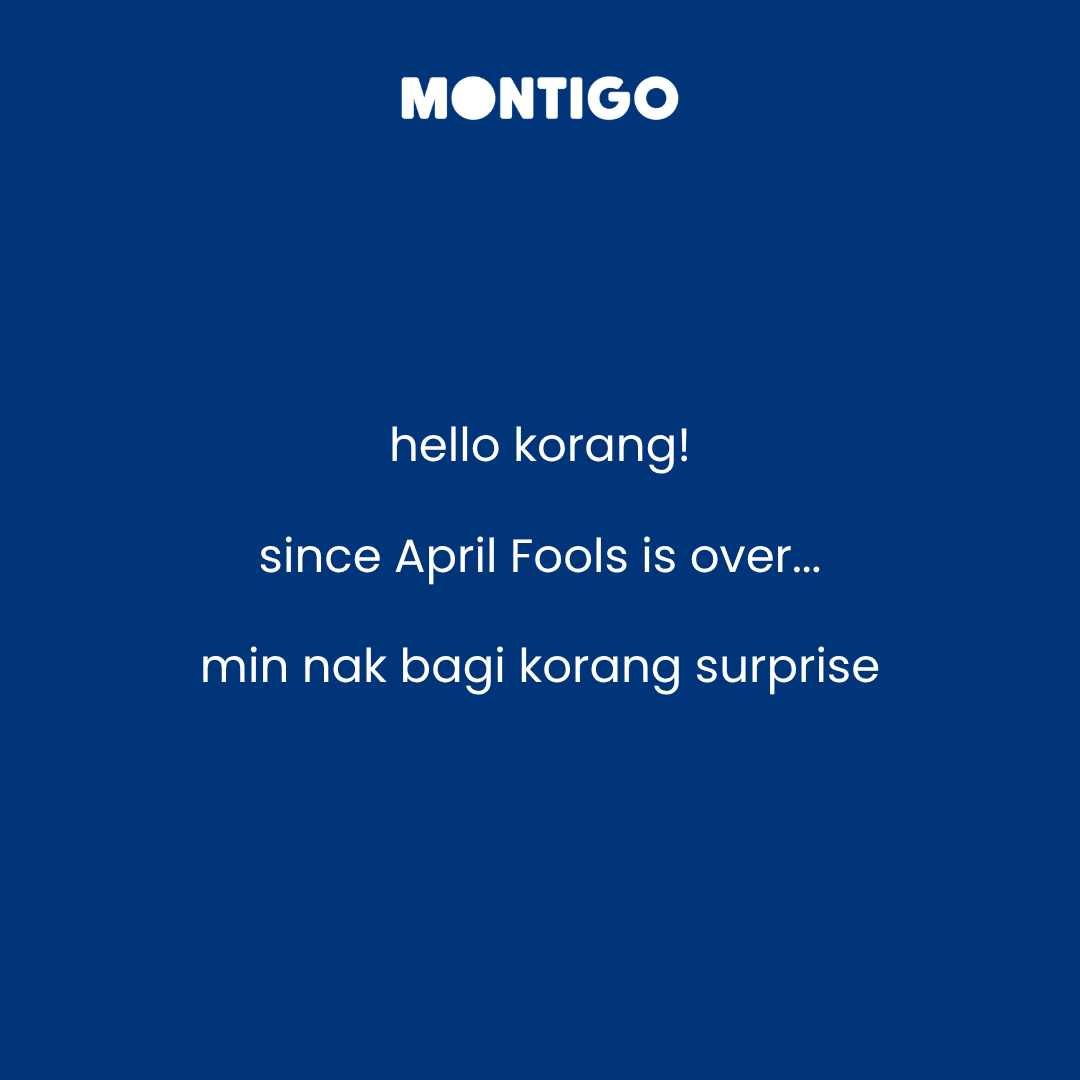 InsideMontigo tweet media