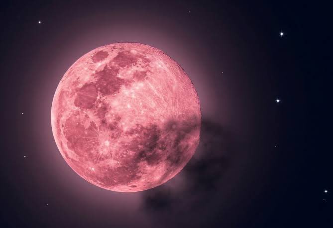 Claudia Arellano tweet media