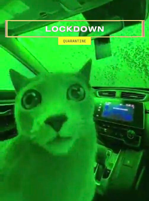 vivi 🪷🐟 🔜 FFXIV Fanfest tweet media