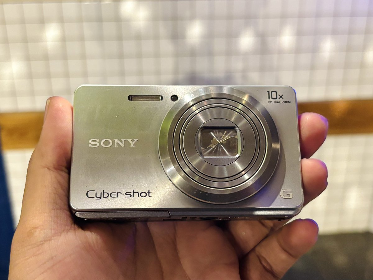 yungrolls tweet media