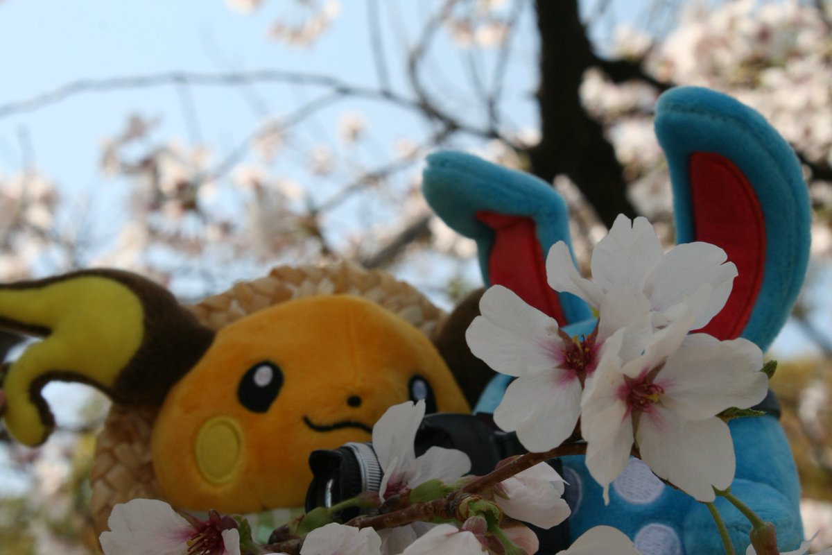 ライチュキ tweet media