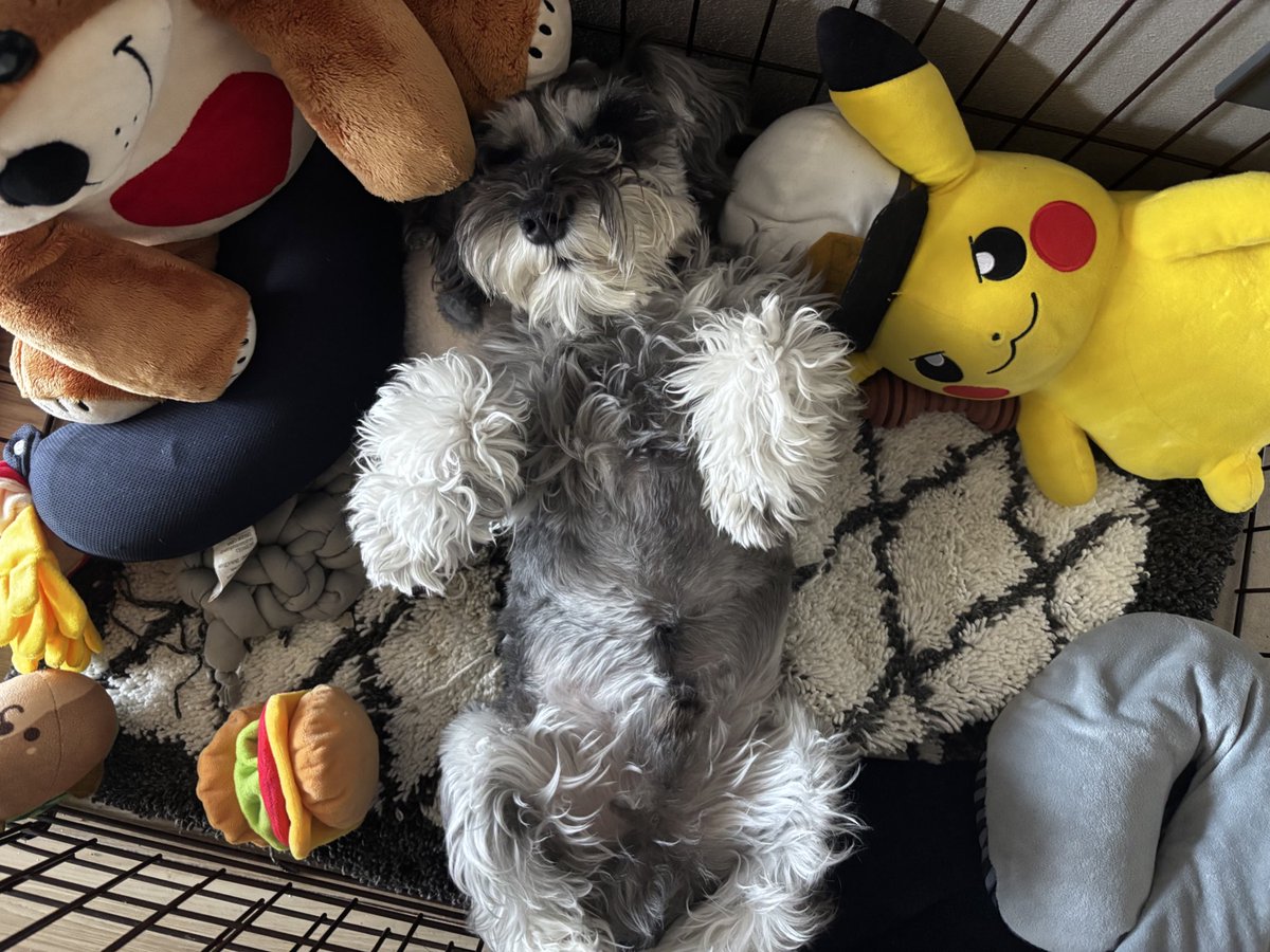 しゅーーーー tweet media