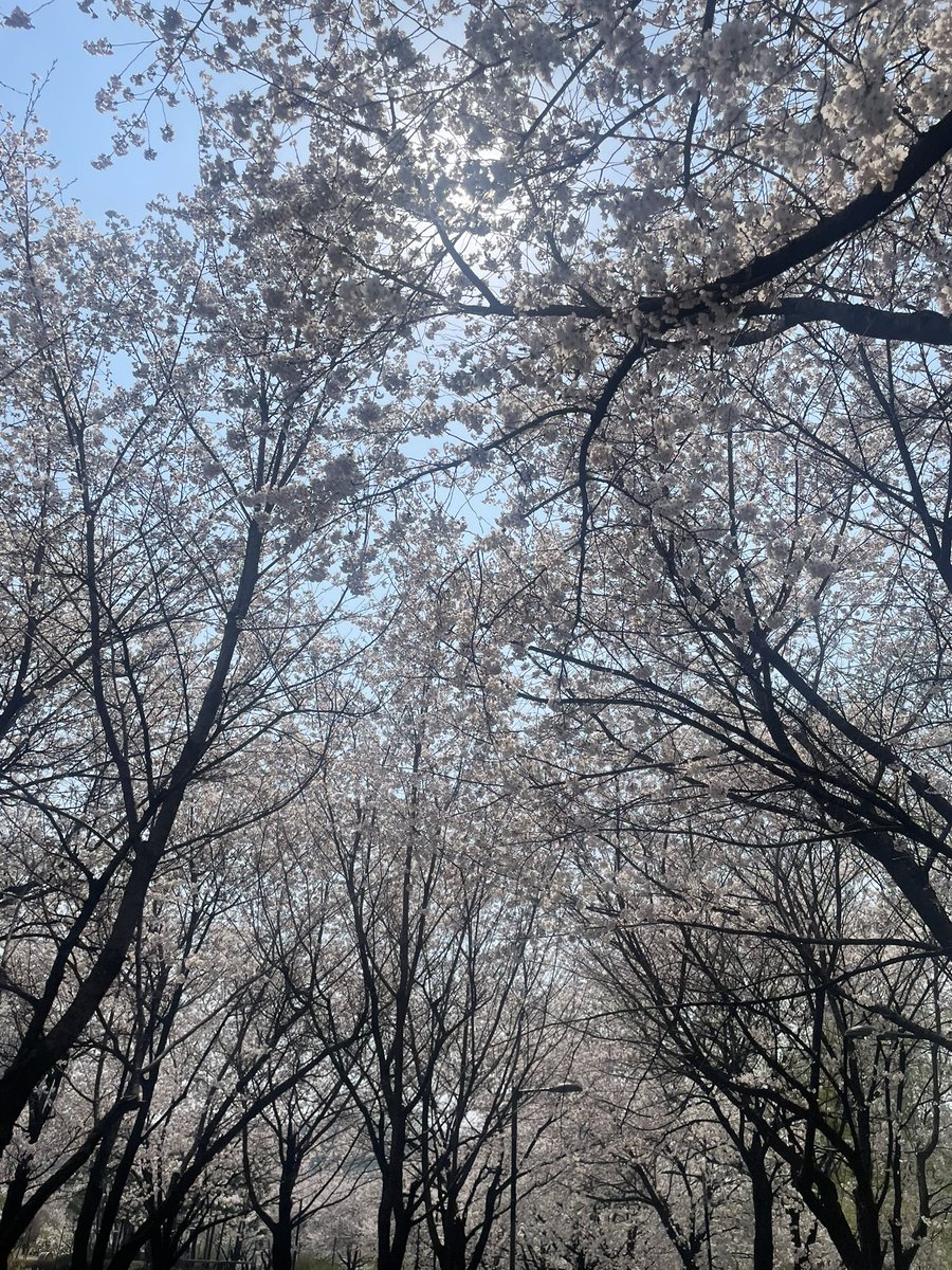 책고양이_ tweet media