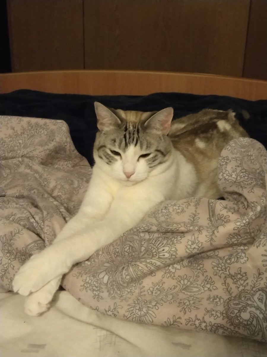 Doctor H (Orcbolg) tweet media