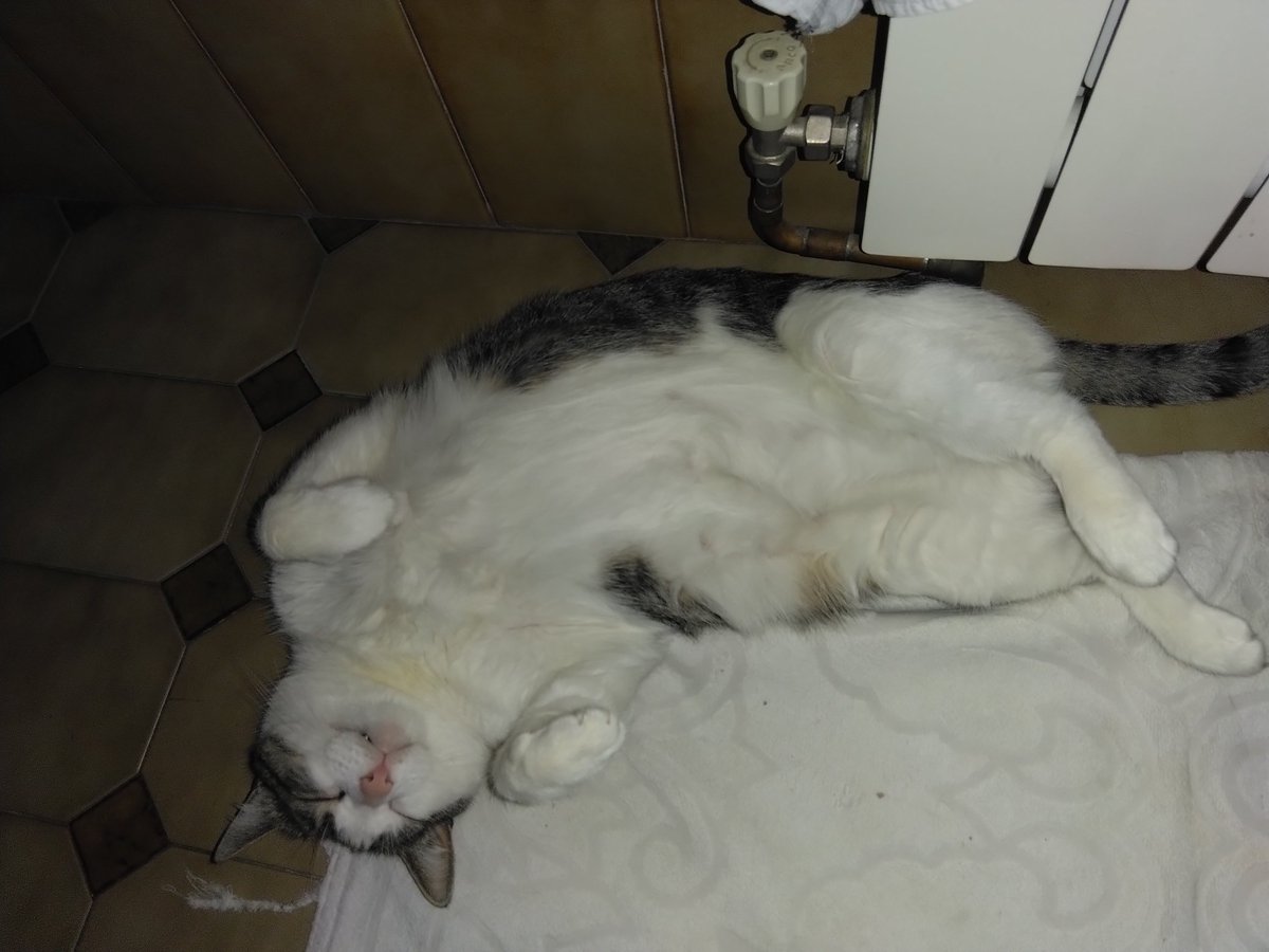 Doctor H (Orcbolg) tweet media