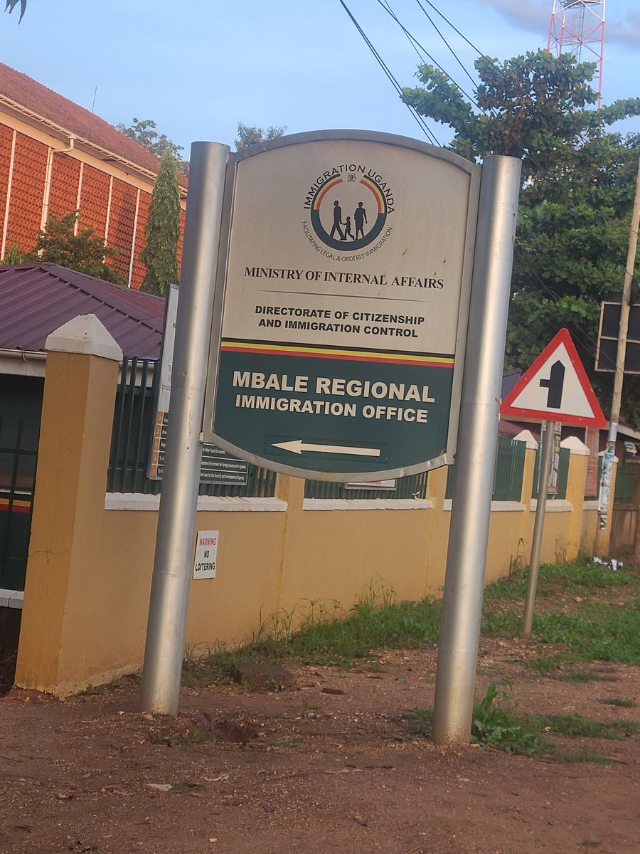 Murungi Ada tweet media