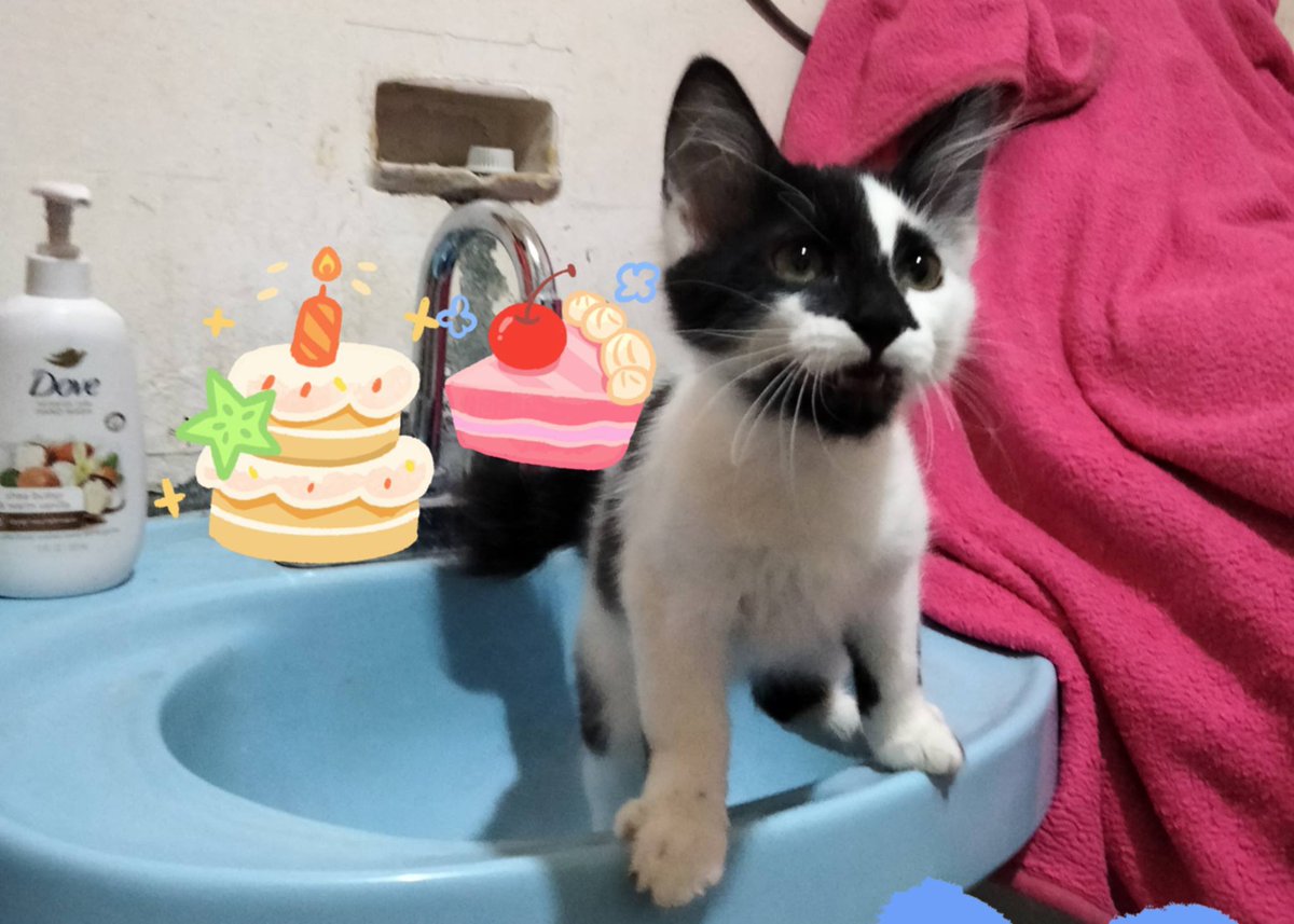 Lorena Becerra tweet media