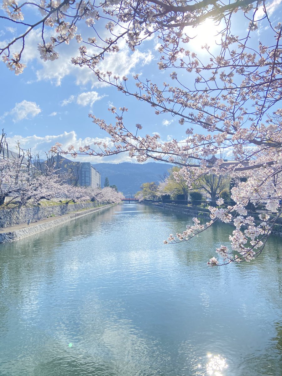 ゆめひろ♪ tweet media