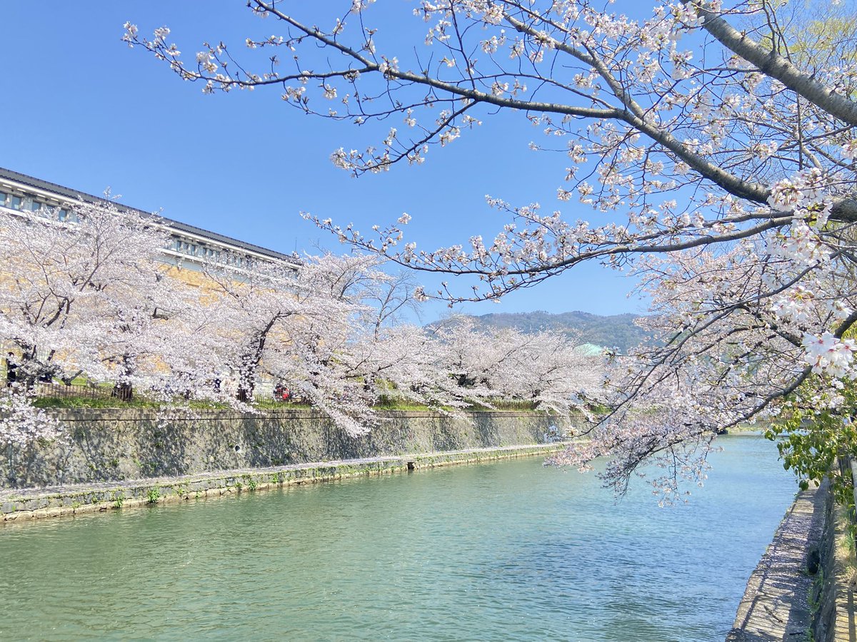 ゆめひろ♪ tweet media