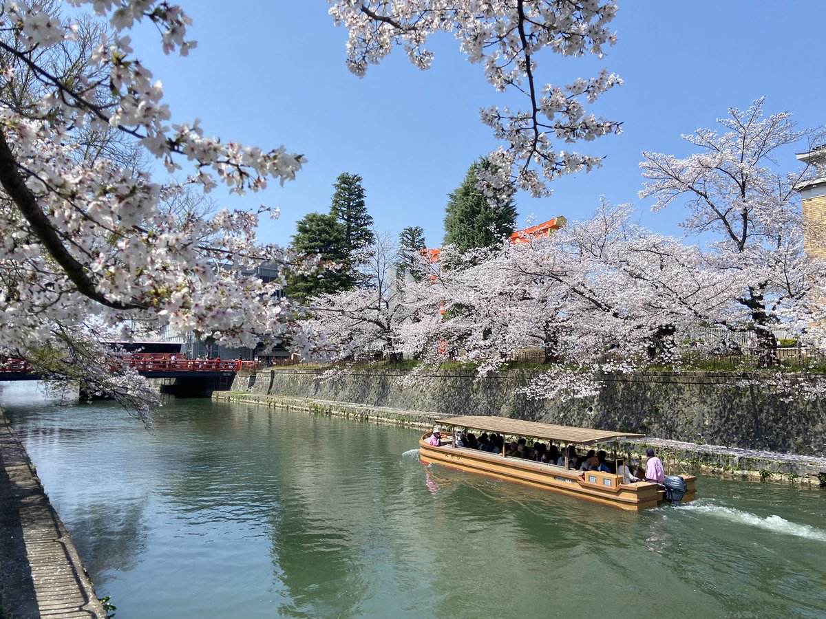 ゆめひろ♪ tweet media