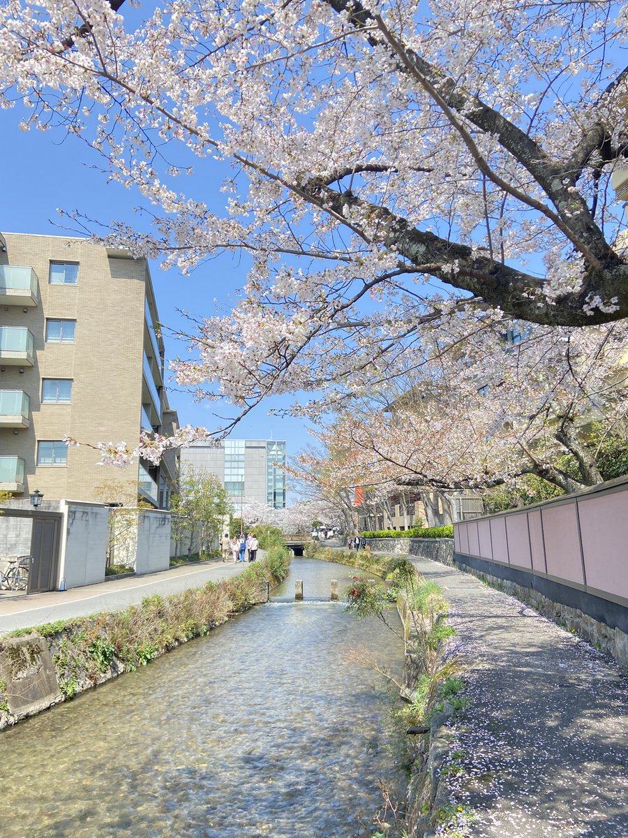 ゆめひろ♪ tweet media