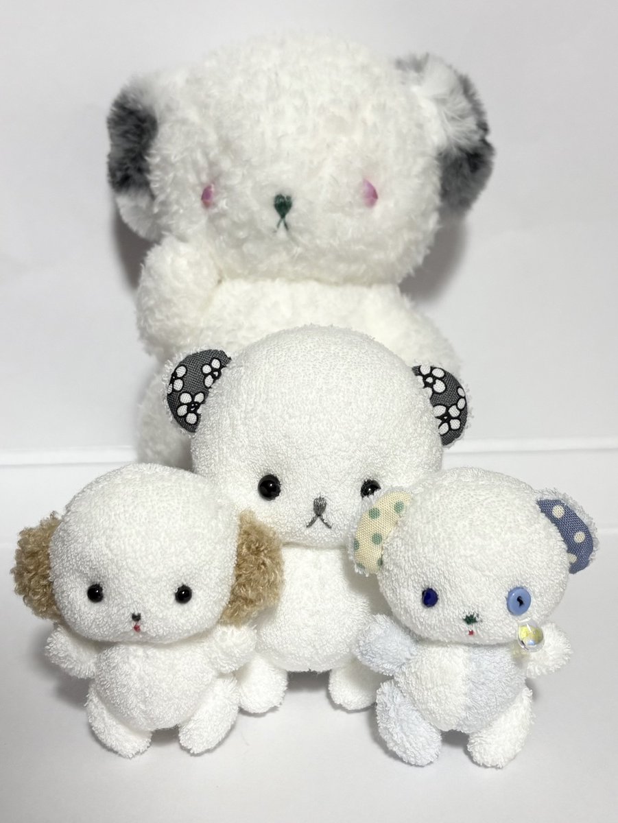 ぱすた tweet media