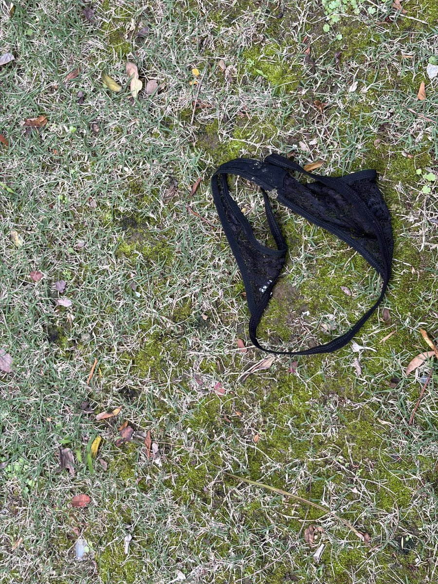 甲安蝶聆 tweet media