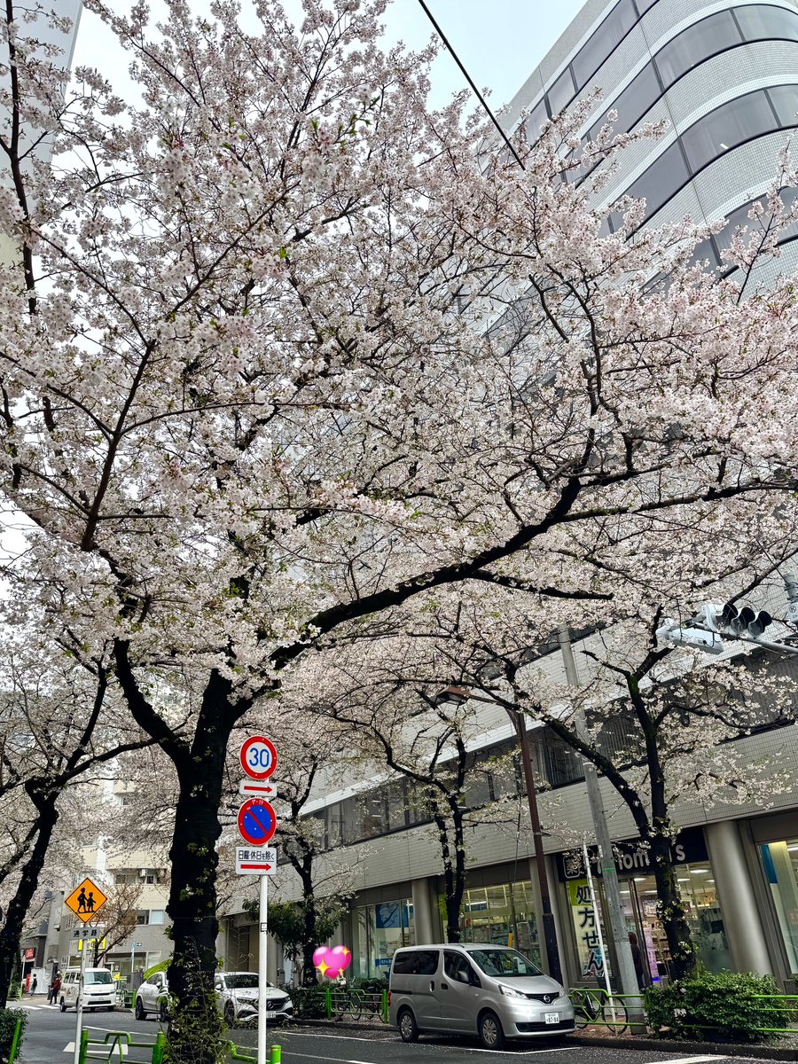 NOLTYプランナーズ公式【NOLTYの法人向け直販＆スコラ手帳の学校向け直販】 tweet media