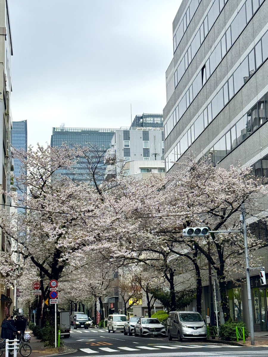 NOLTYプランナーズ公式【NOLTYの法人向け直販＆スコラ手帳の学校向け直販】 tweet media