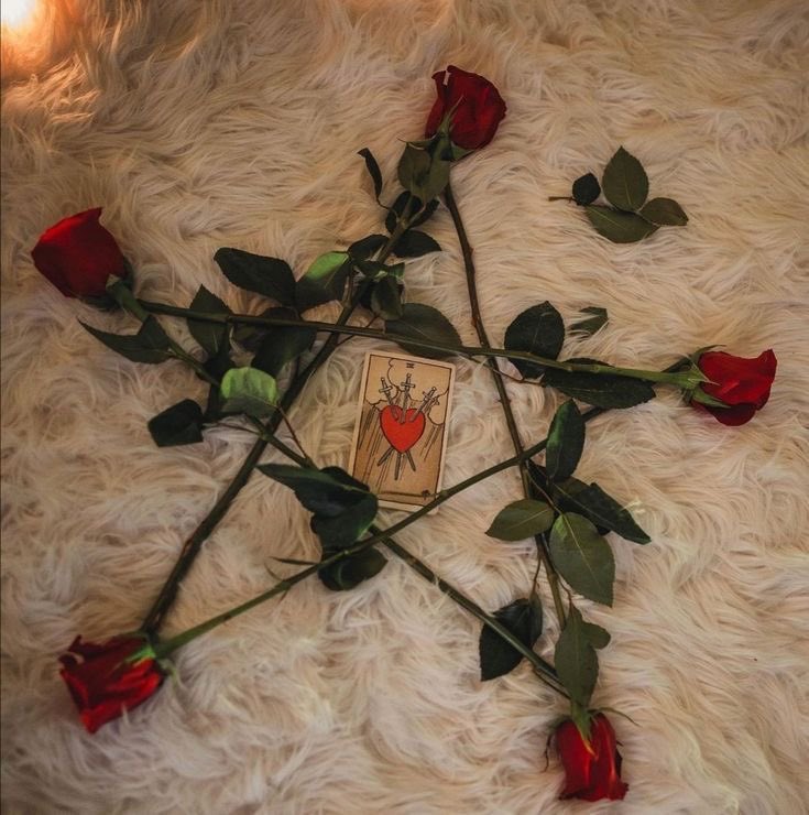 devil tarot 𖤐✨🔮 tweet media