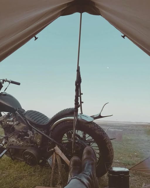 𝕊𝕥𝕖𝕧𝕖𝕟 𝕄. 𝕃𝕖𝕘𝕒𝕔𝕪 🇺🇸 tweet media