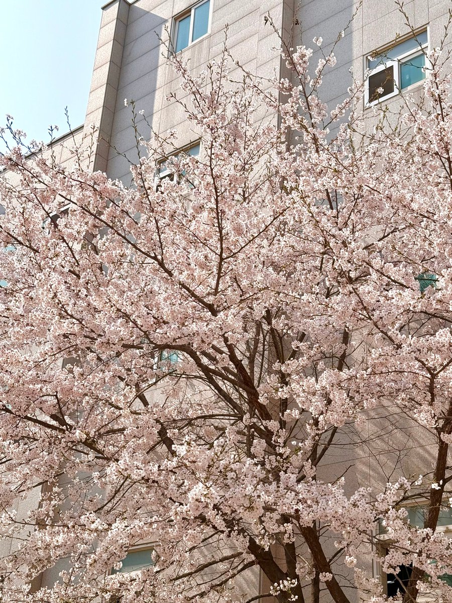 Summer_soee's tweet image. #USPEER #유스피어
#SIAN #시안