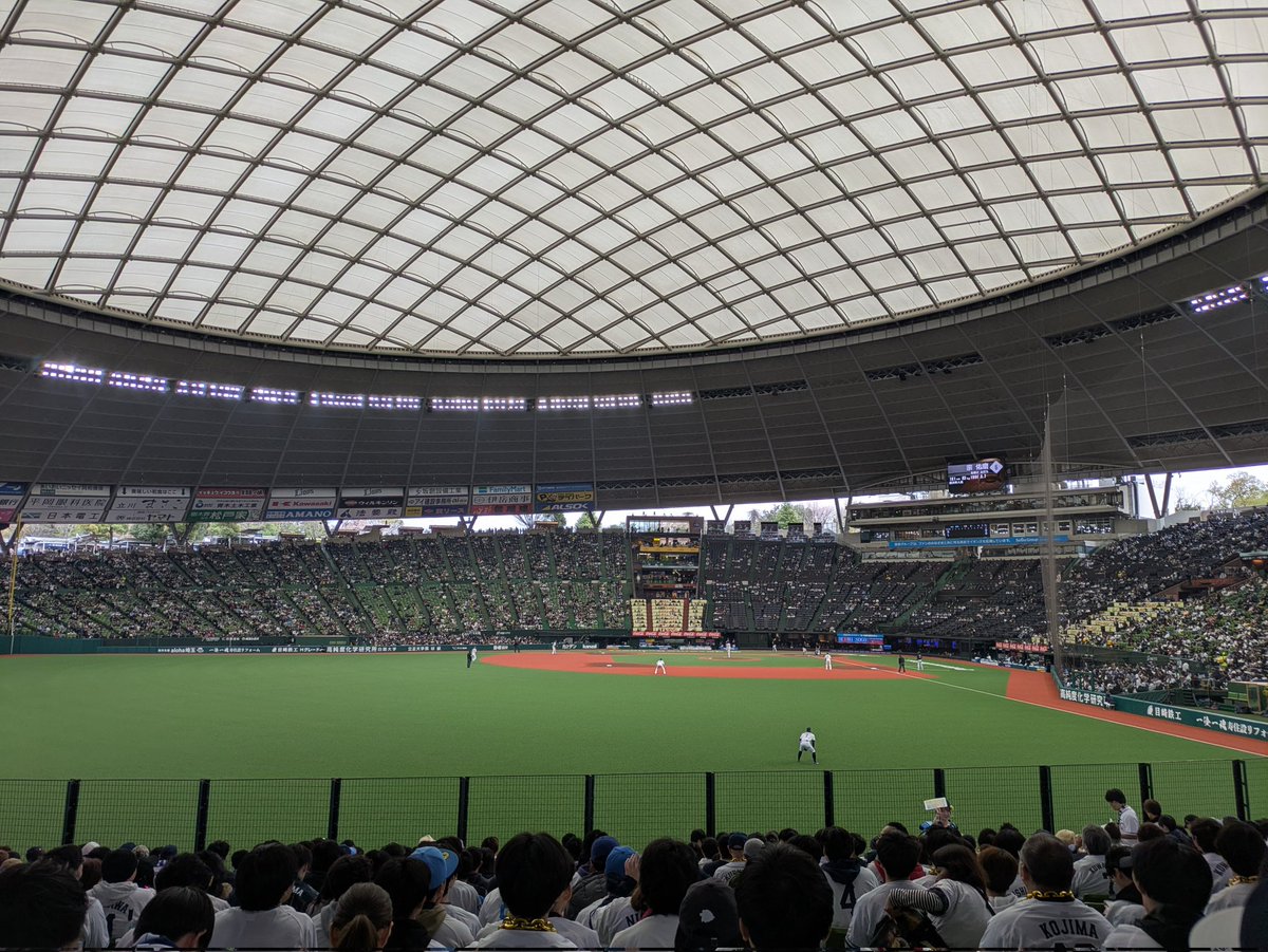 カーネルたん🐯 tweet media