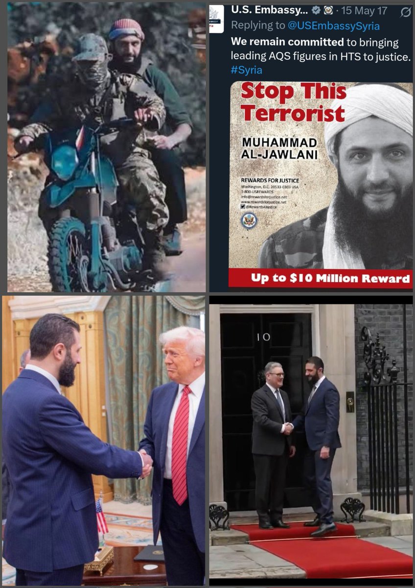 CITY GENE 🧬🧬🧬 tweet media