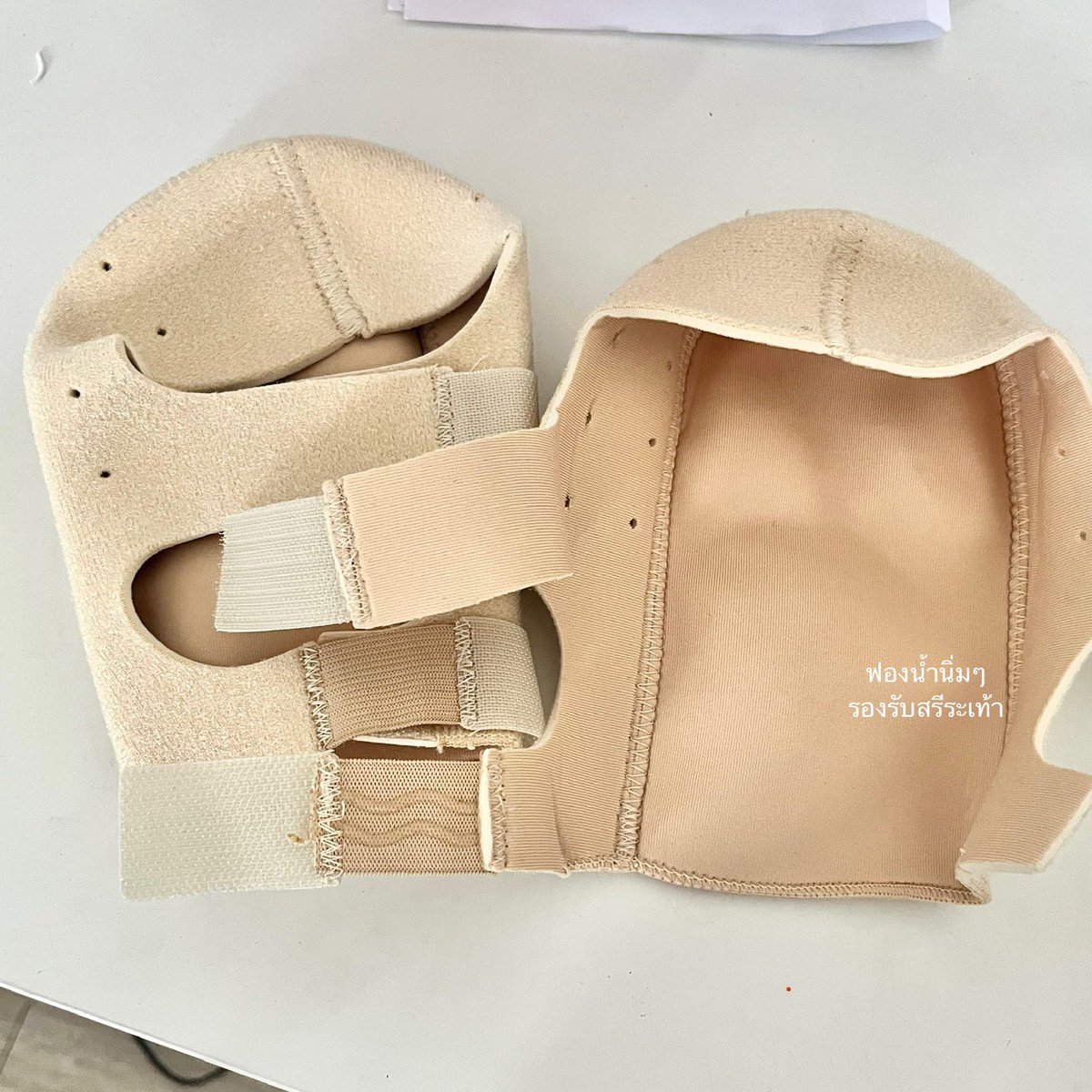 Sunflower tweet media