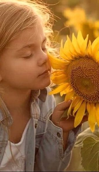 ريـفـان 🌻 tweet media