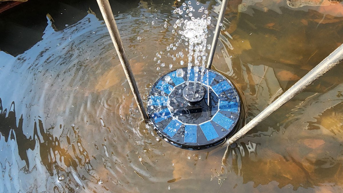 🎗🐬淵畵公🐬🎗 tweet media