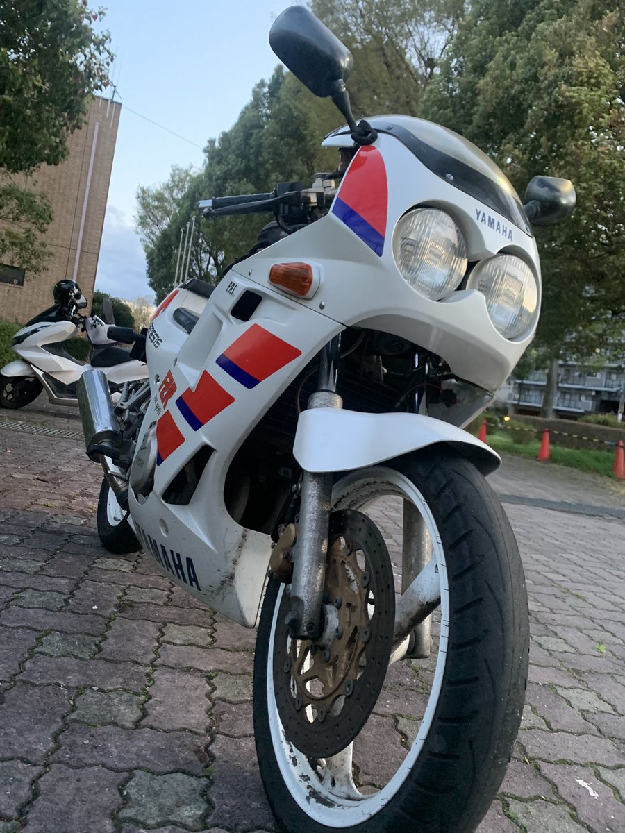 はしるゴキブリ tweet media