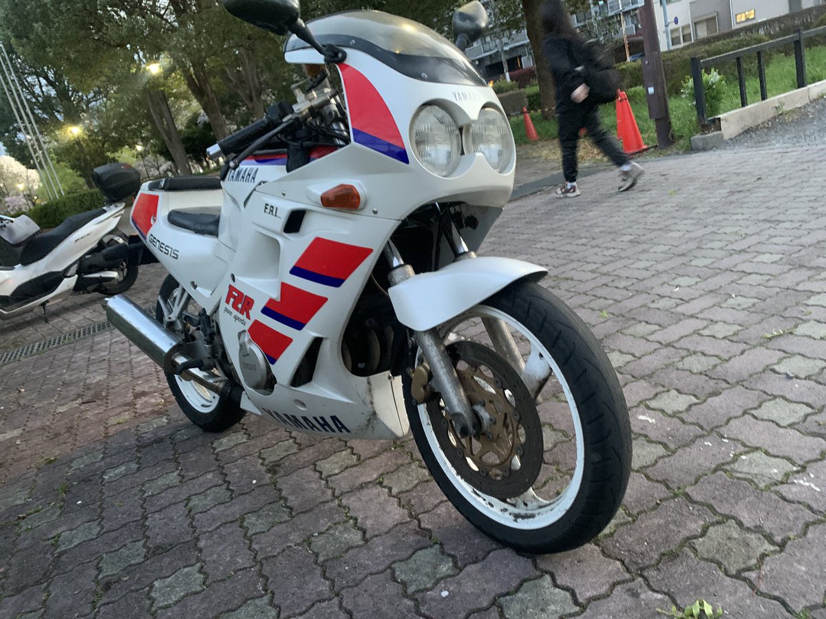 はしるゴキブリ tweet media