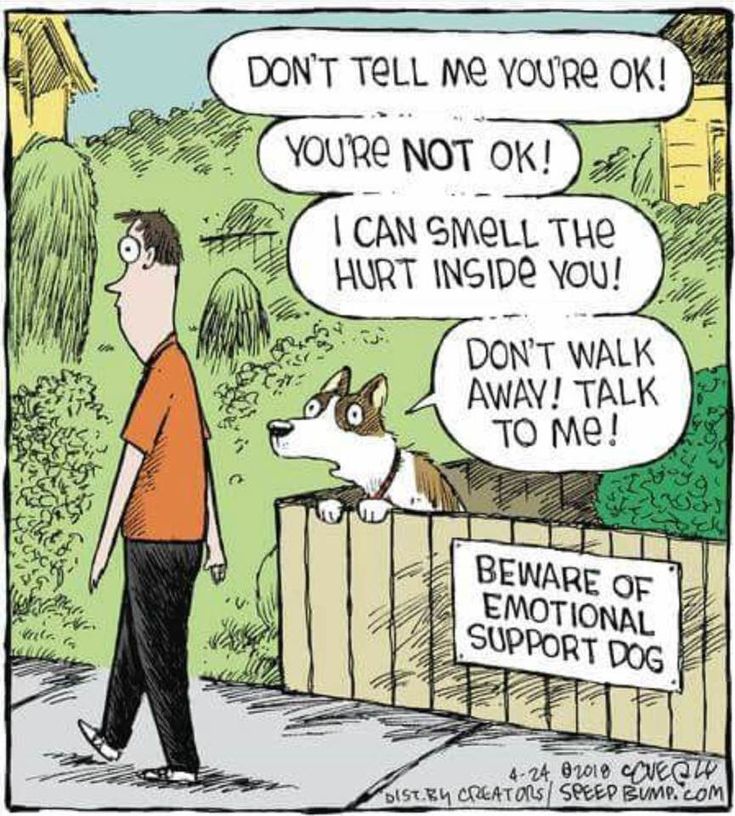 Karen 📚🐕‍🦺🇬🇧 tweet media