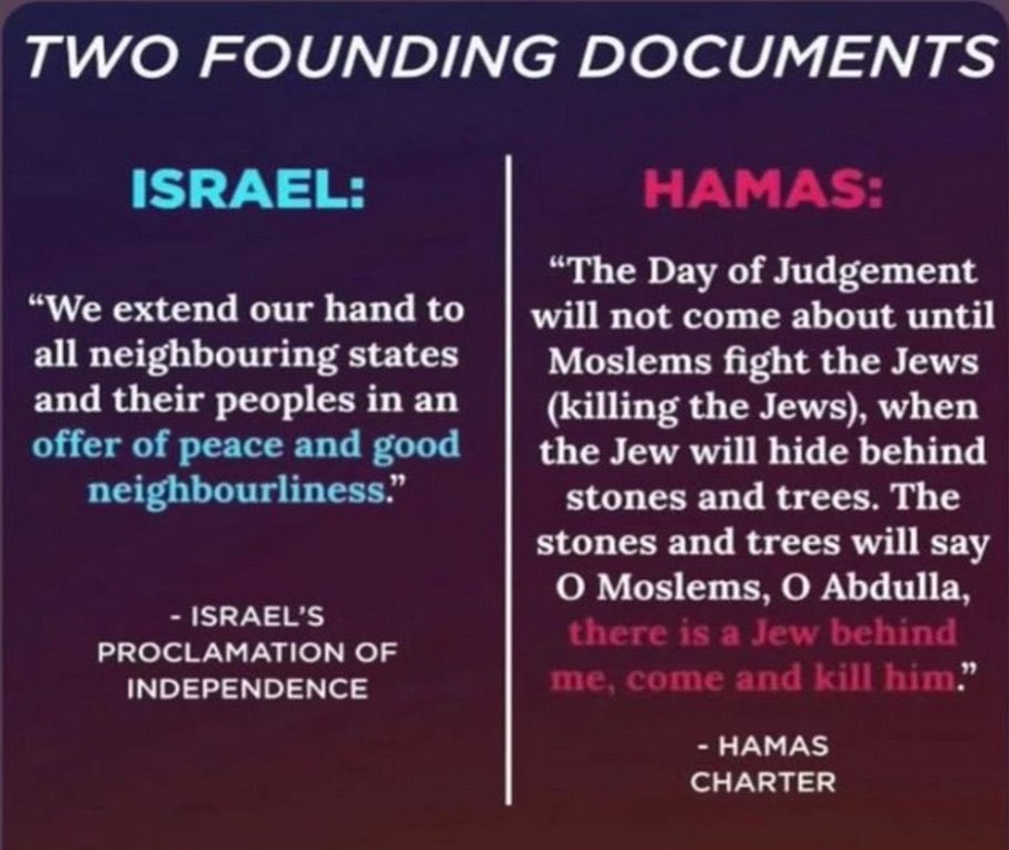 malca goldstein-wolf tweet media