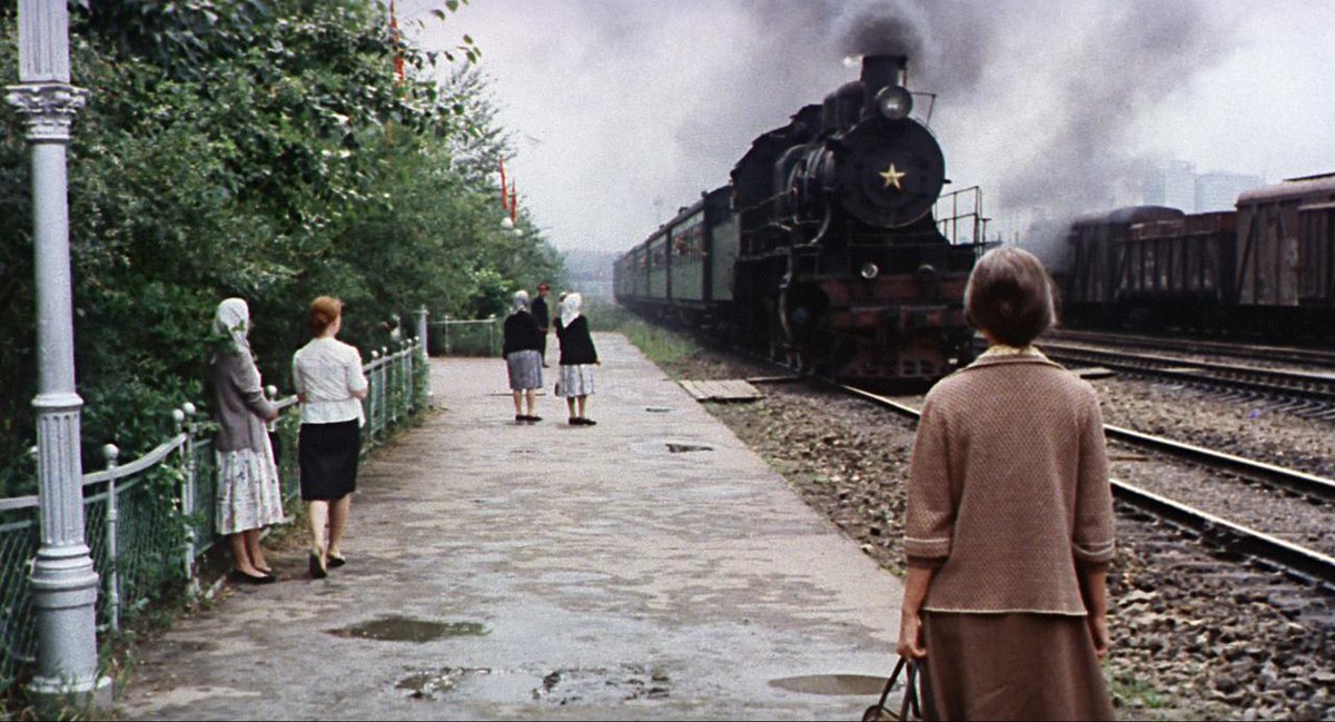 青菜(aona） tweet media