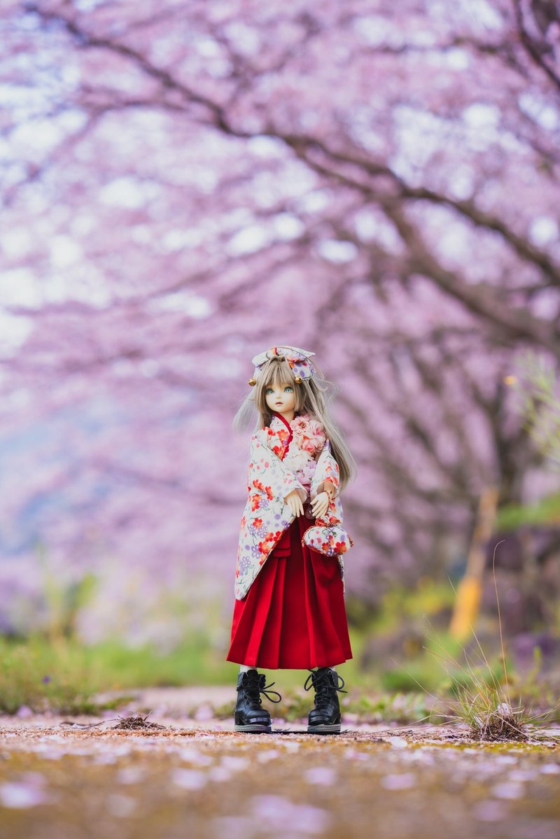 あんさんぶる！ tweet media