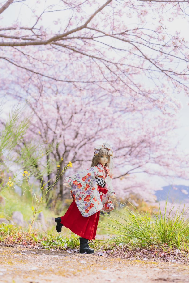 あんさんぶる！ tweet media