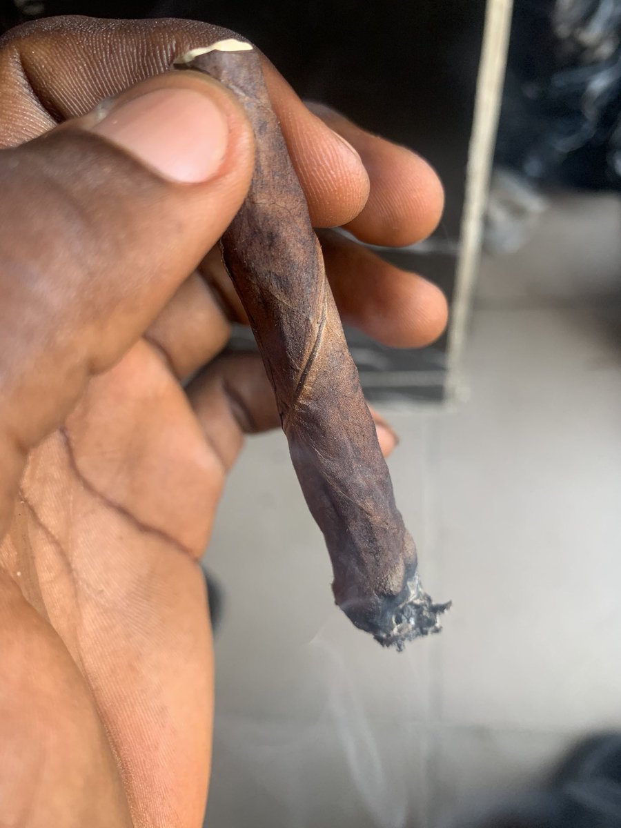 HIGH KUSH🍁🍀 tweet media