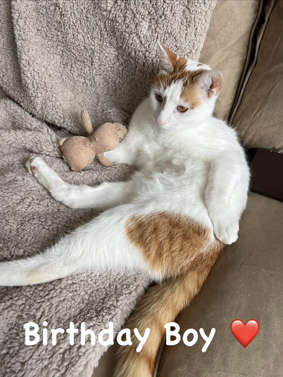 Joke Turkenburg tweet media